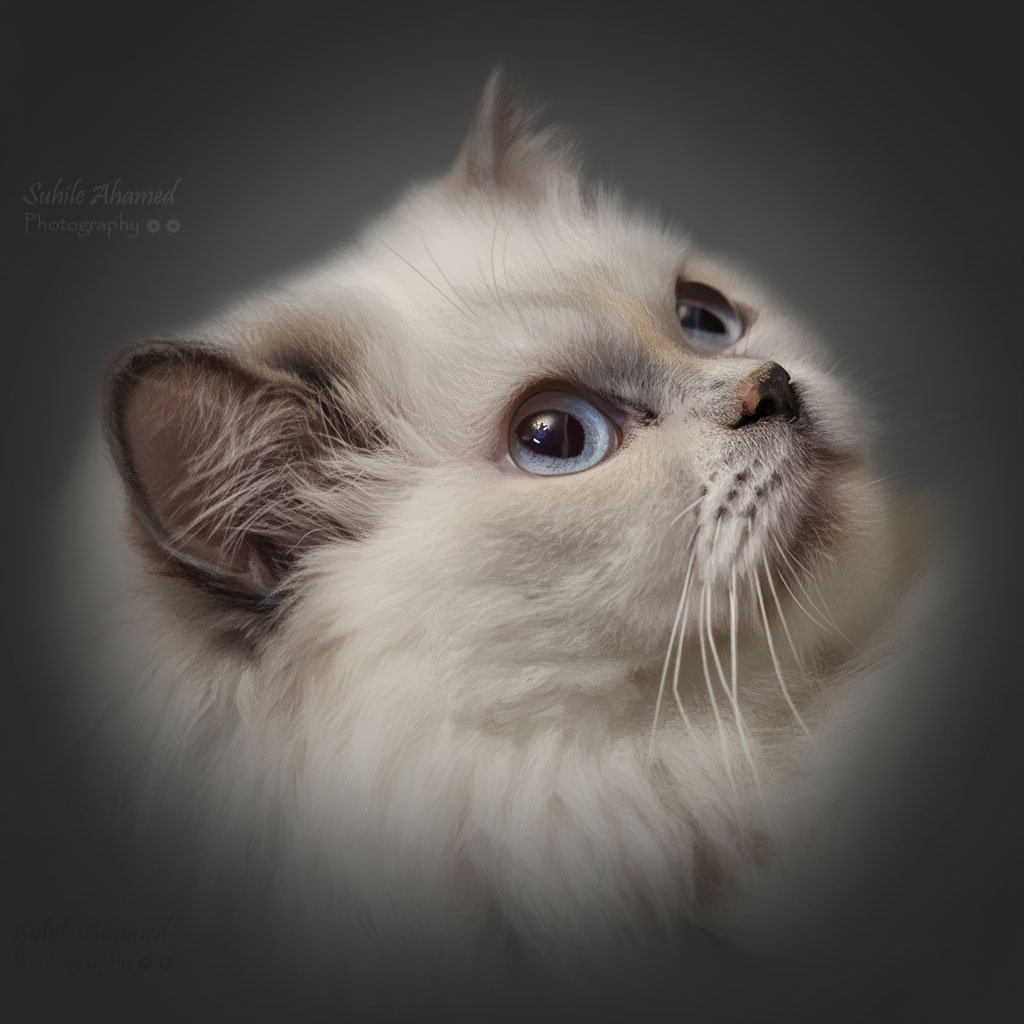 Sample placeholder image